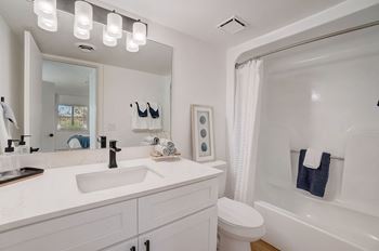 a bathroom with a sink and a shower and a toilet